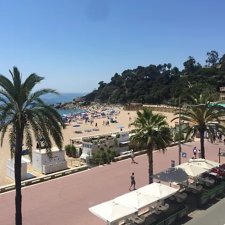 In Lloret Near Lloret * 滨海略雷特